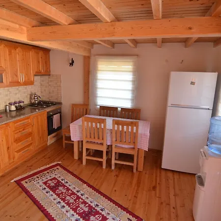New Age Stone With Private Pool Villa Fethiye